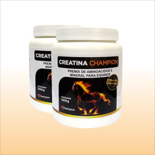 Carregar imagem no visualizador da galeria, Creatina Champion