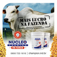 Carregar imagem no visualizador da galeria, NÚCLEO PREMIUM TM FORCE