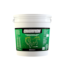 Carregar imagem no visualizador da galeria, Champion Equinos