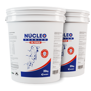 NÚCLEO PREMIUM TM FORCE