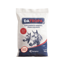 Carregar imagem no visualizador da galeria, Farinha DATROPA (Fardo 25 x 1kg)
