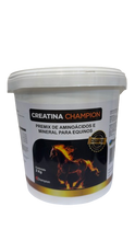Carregar imagem no visualizador da galeria, Creatina Champion
