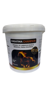 Creatina Champion