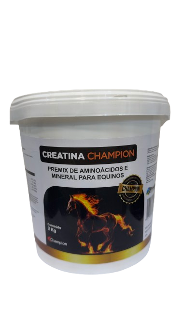 Creatina Champion