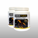 Cascoforte Champion