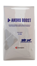 Andro Boost Champion