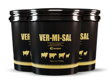 Carregar imagem no visualizador da galeria, VER-MI-SAL Champion
