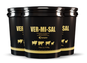 VER-MI-SAL Champion