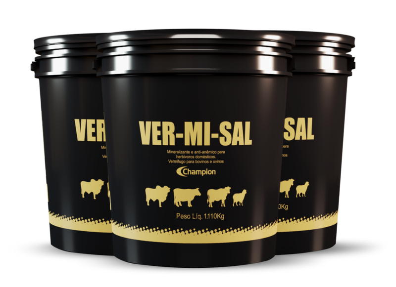 VER-MI-SAL Champion