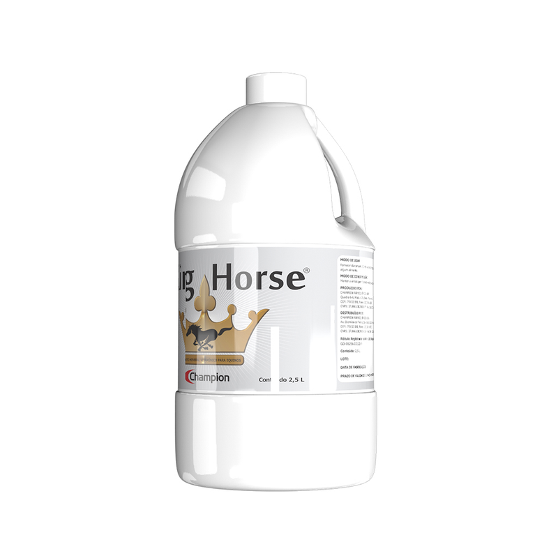King Horse Champion