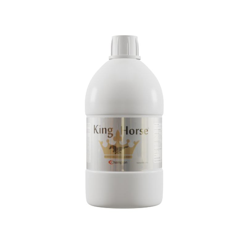 King Horse Champion