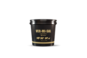 VER-MI-SAL Champion