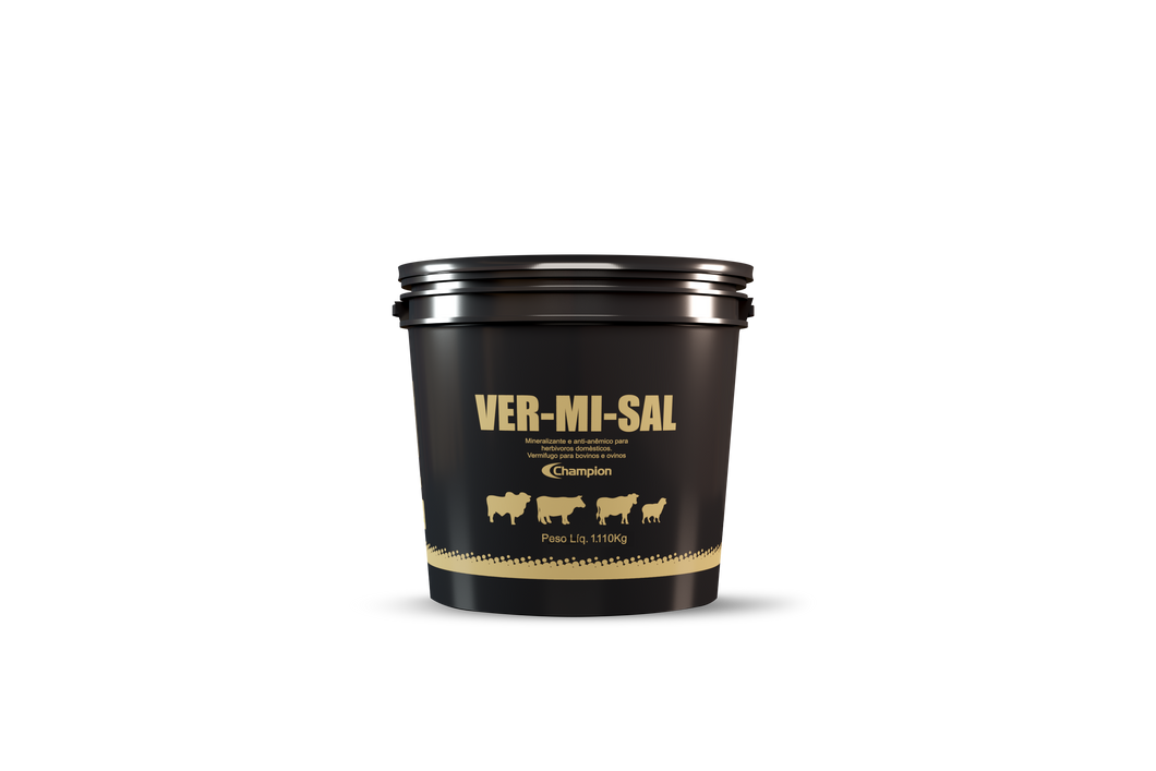 VER-MI-SAL Champion